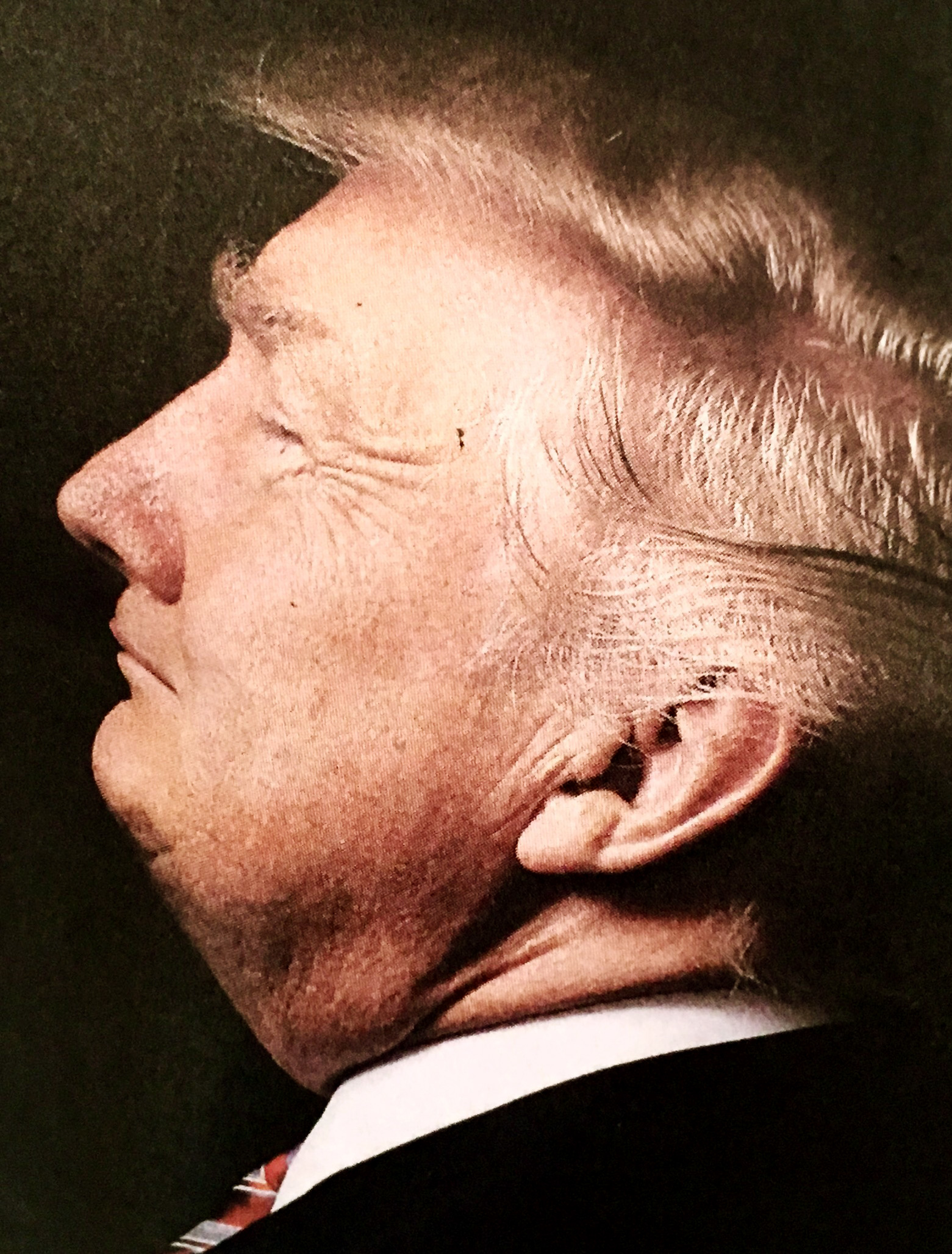 KRUMMER KOPF NR. 010